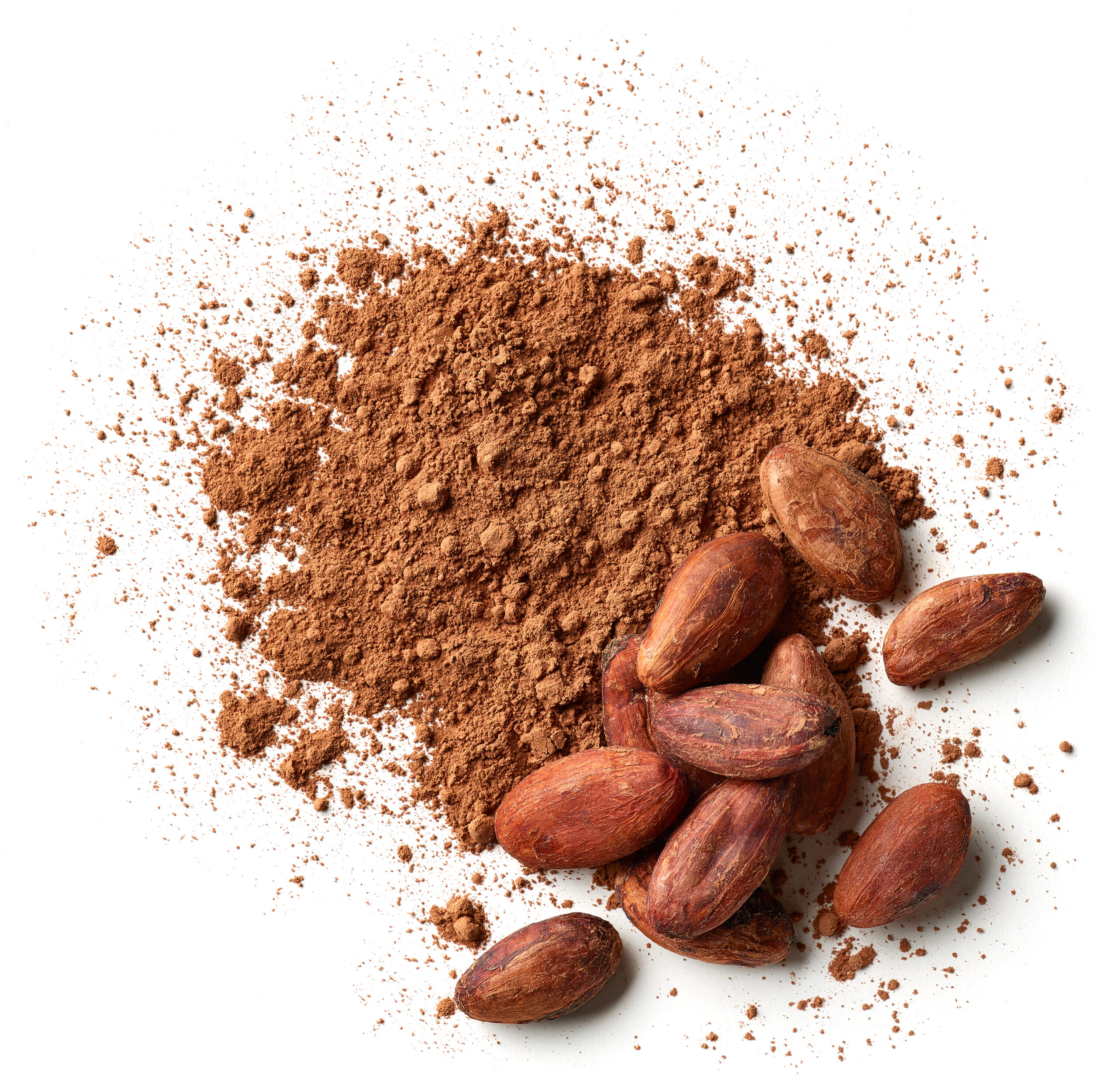 cocoa products