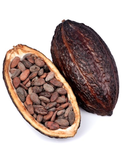 Cacao pod isolated on white backgrounds.